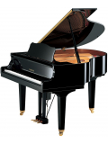 DGB1K DISKLAVIER ENSPIRE ST (Polished Ebony), зображення 1